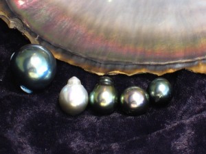multi color pearl